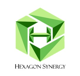 HEXAGON SYNERGY (M) SDN BHD