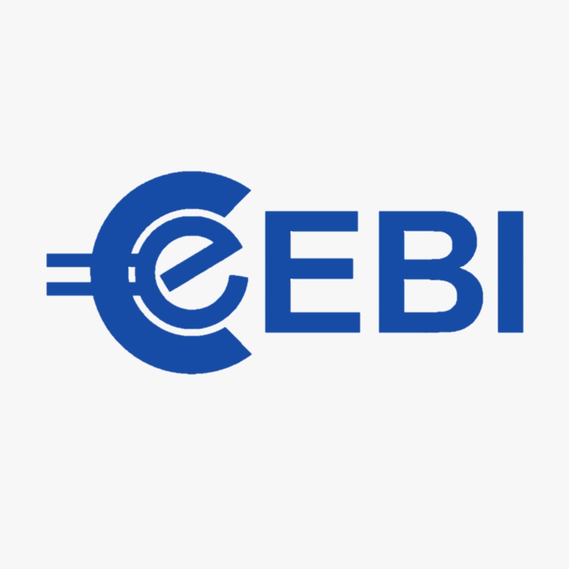 EBI SOFTWARE SDN BHD